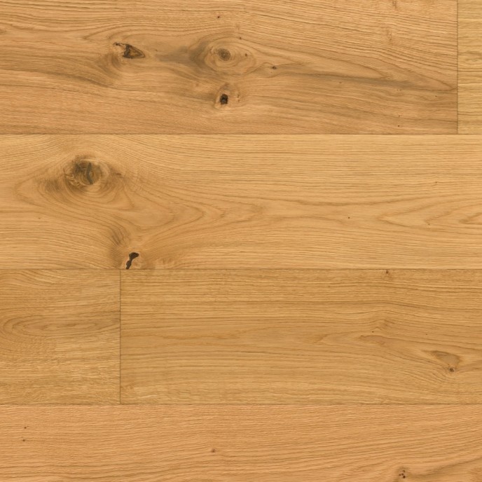 ONDO OAK